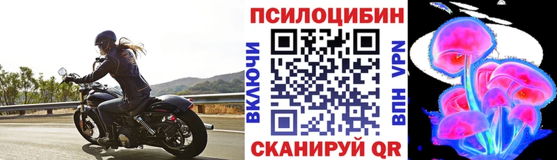 цены   Разумное  Галлюциногенные грибы Cubensis 